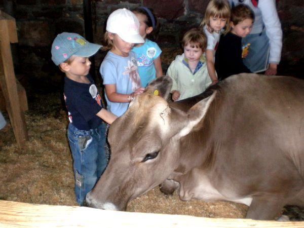 Young Visitors at Shelburne Farms.jpg - Young Visitors at Shelburne Farms